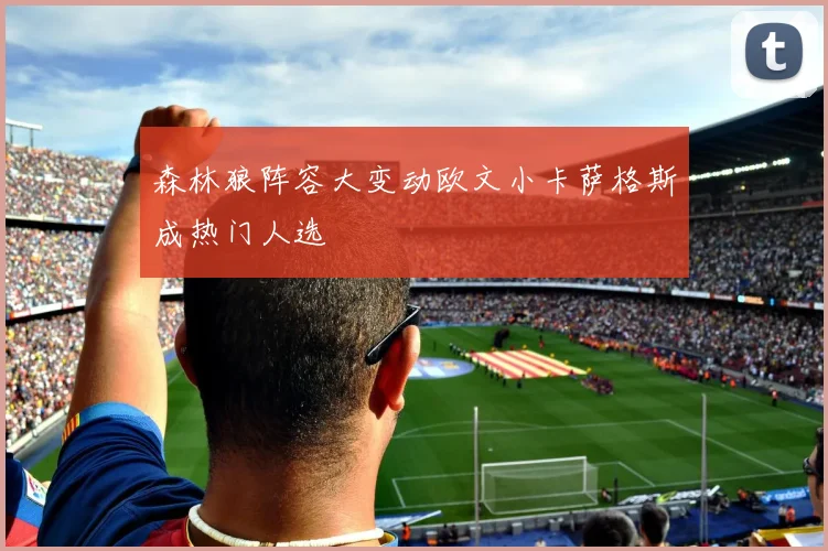 森林狼阵容大变动欧文小卡萨格斯成热门人选